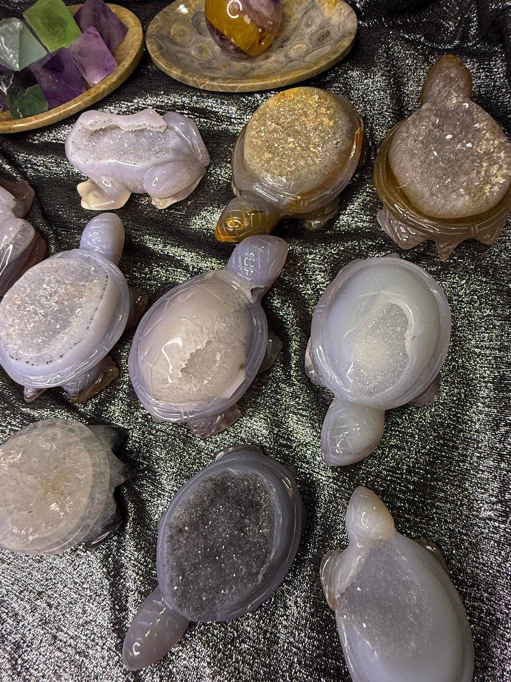Peruvian agate turtles & frogs