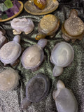 Peruvian agate turtles & frogs