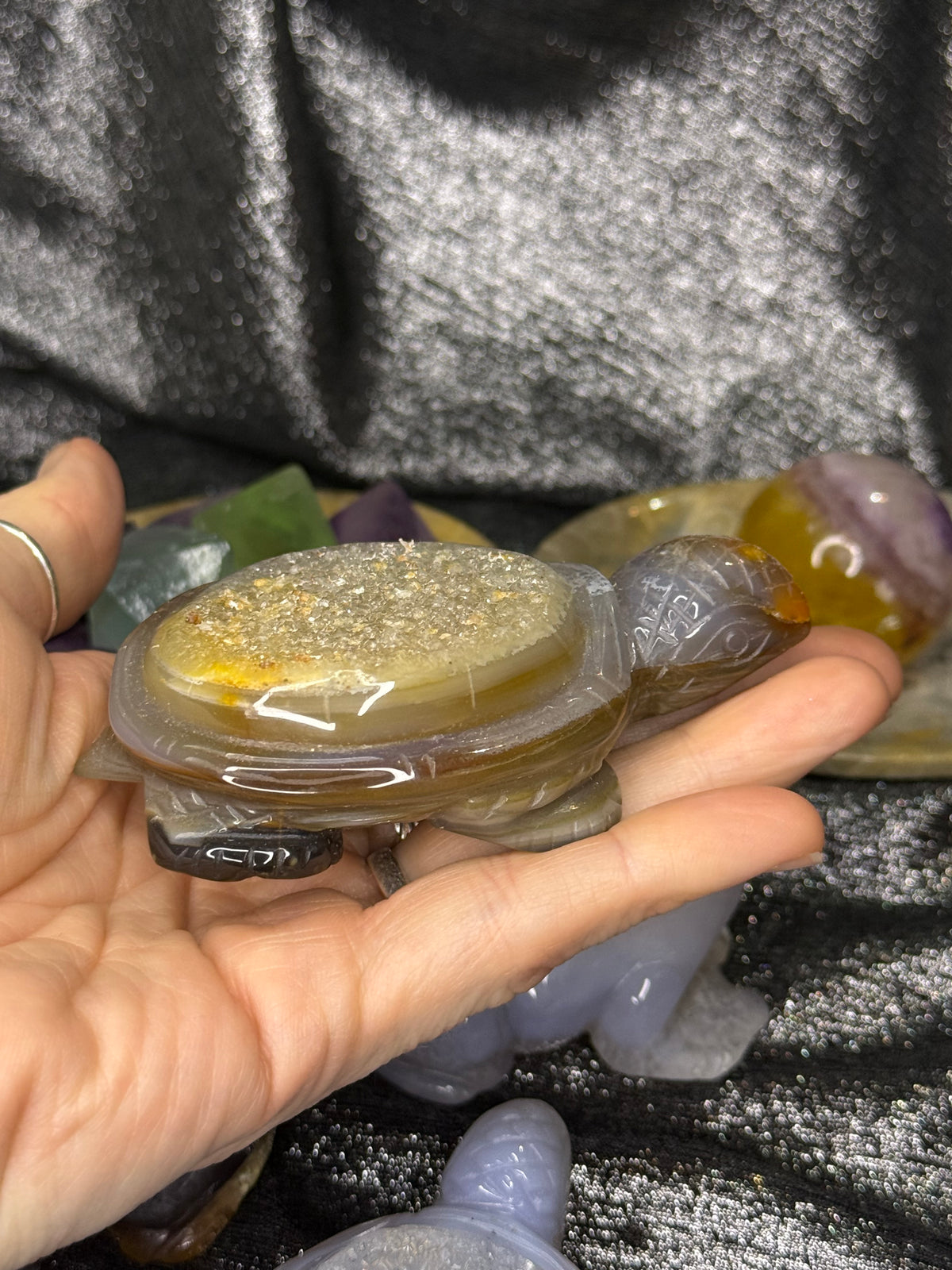 Peruvian agate turtles & frogs
