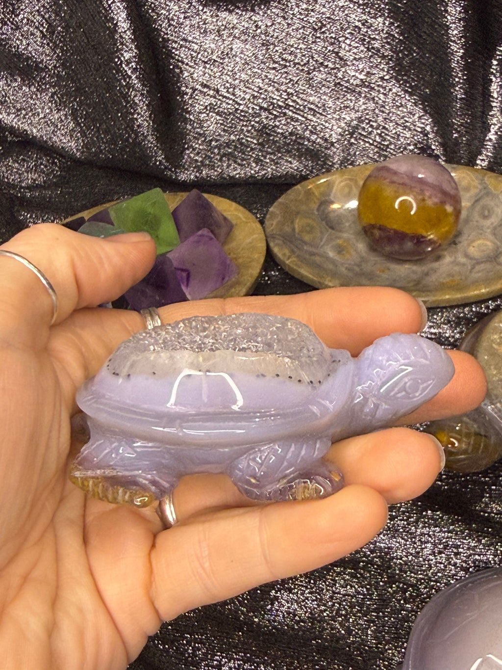 Peruvian agate turtles & frogs