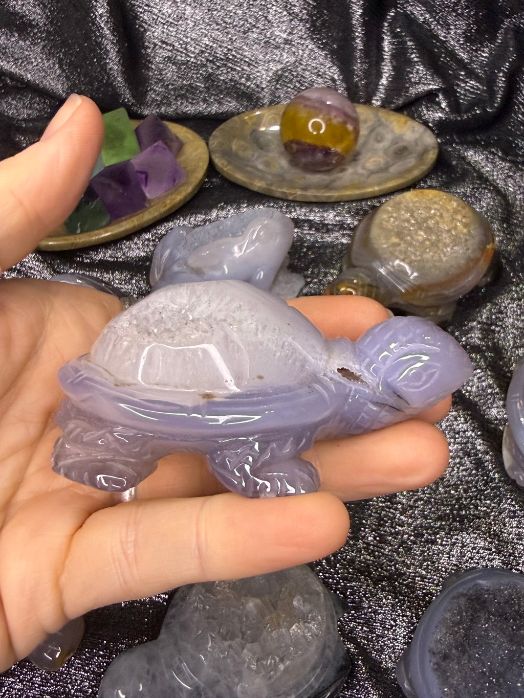 Peruvian agate turtles & frogs