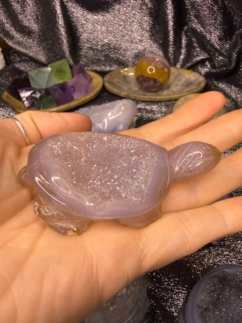 Peruvian agate turtles & frogs