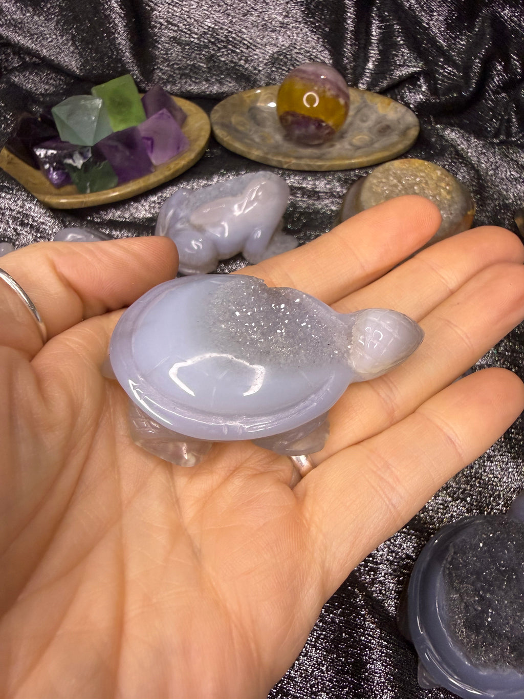 Peruvian agate turtles & frogs