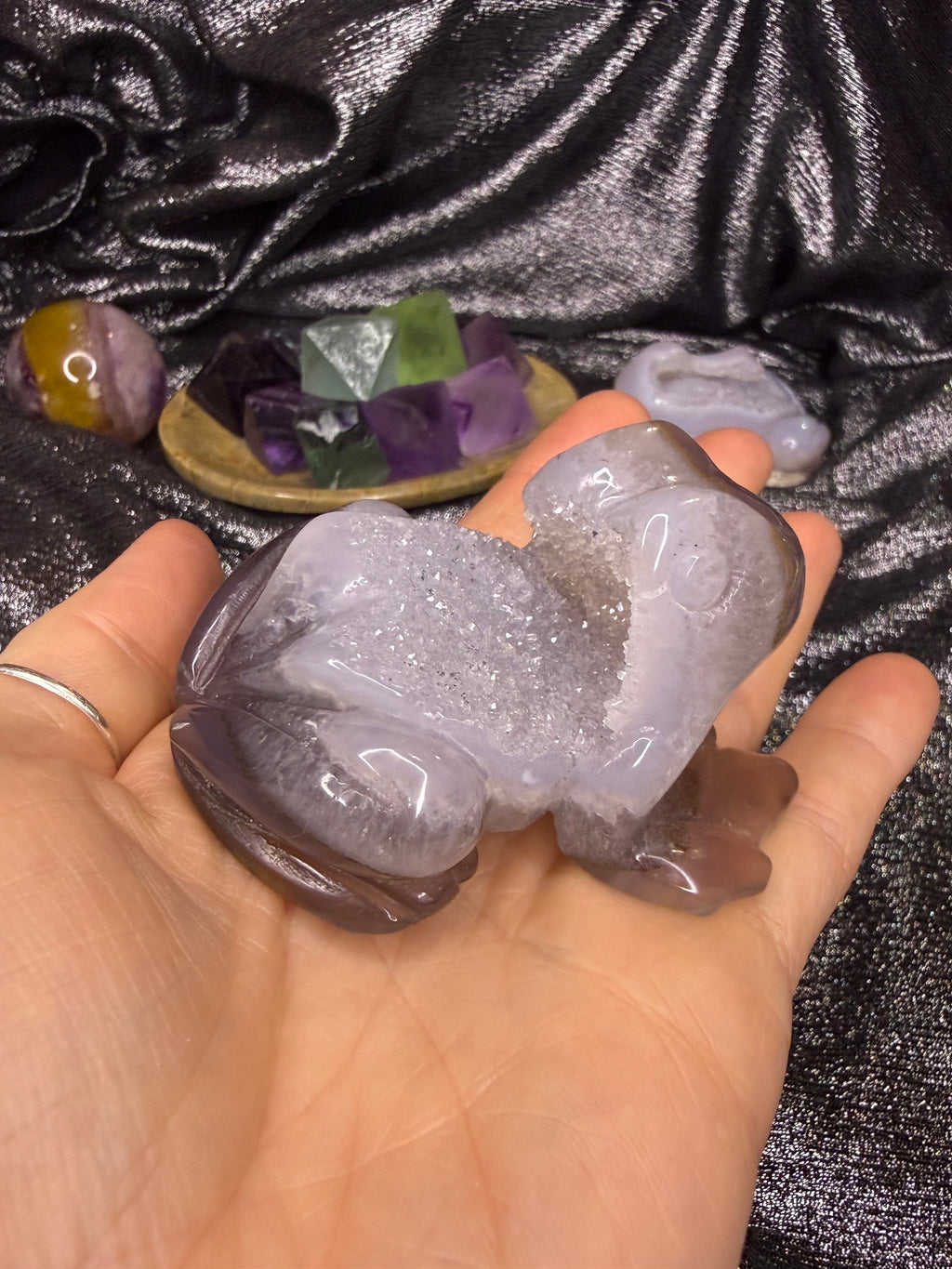 Peruvian agate turtles & frogs