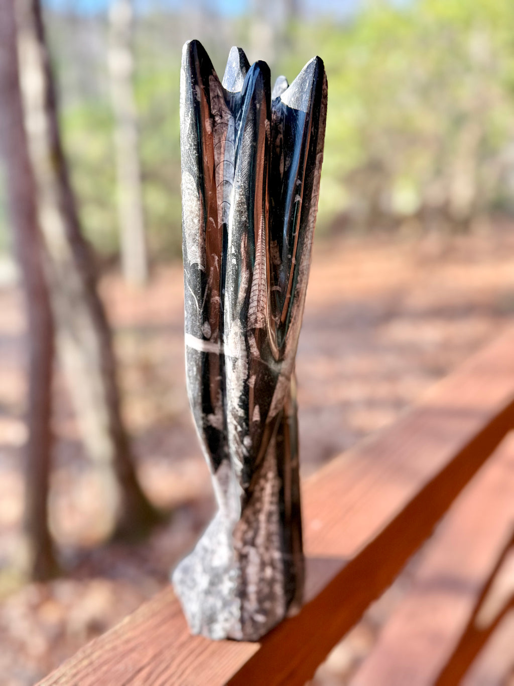 Orthoceras tower