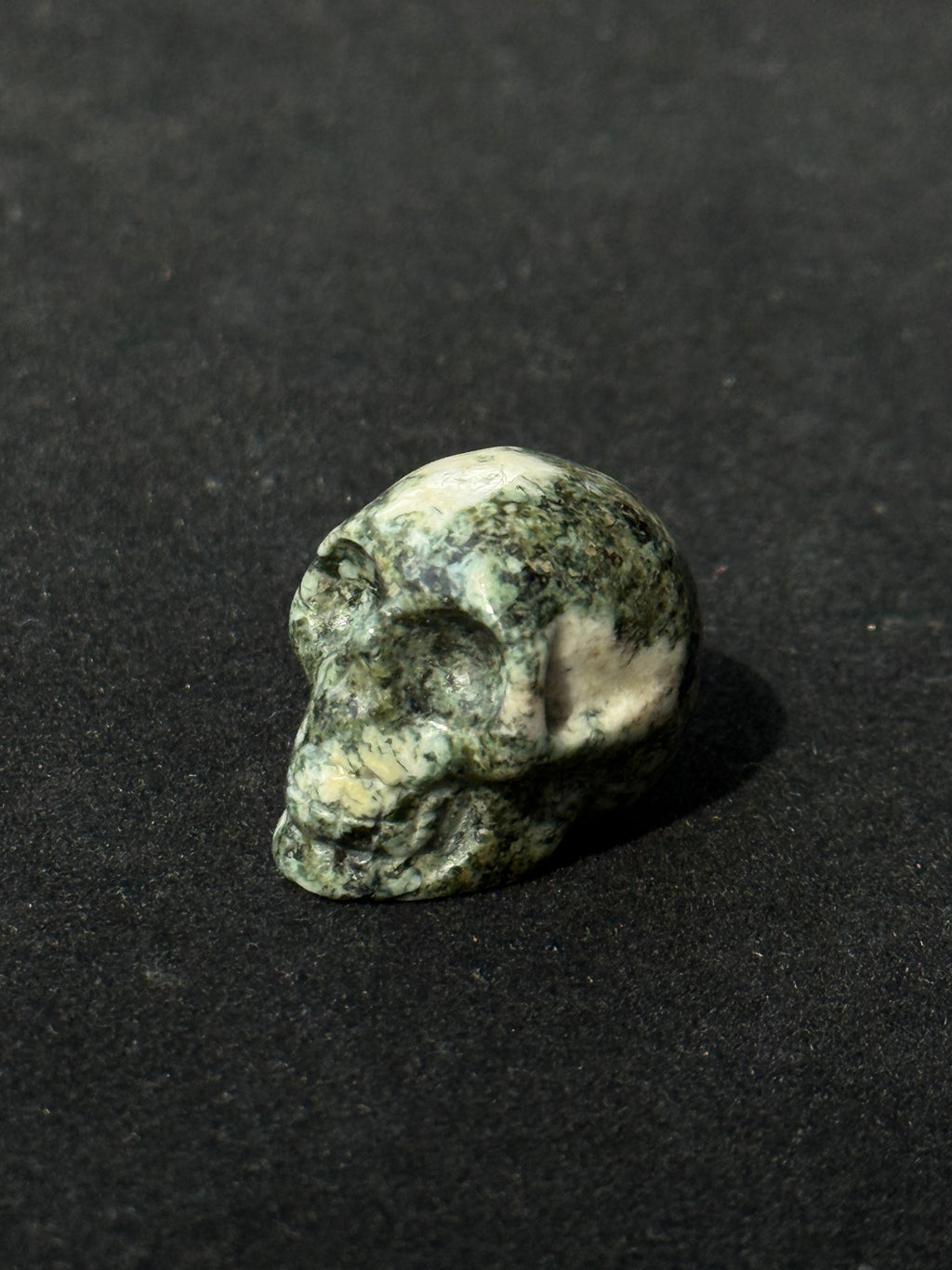 Preseli Bluestone skull