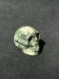 Preseli Bluestone skull