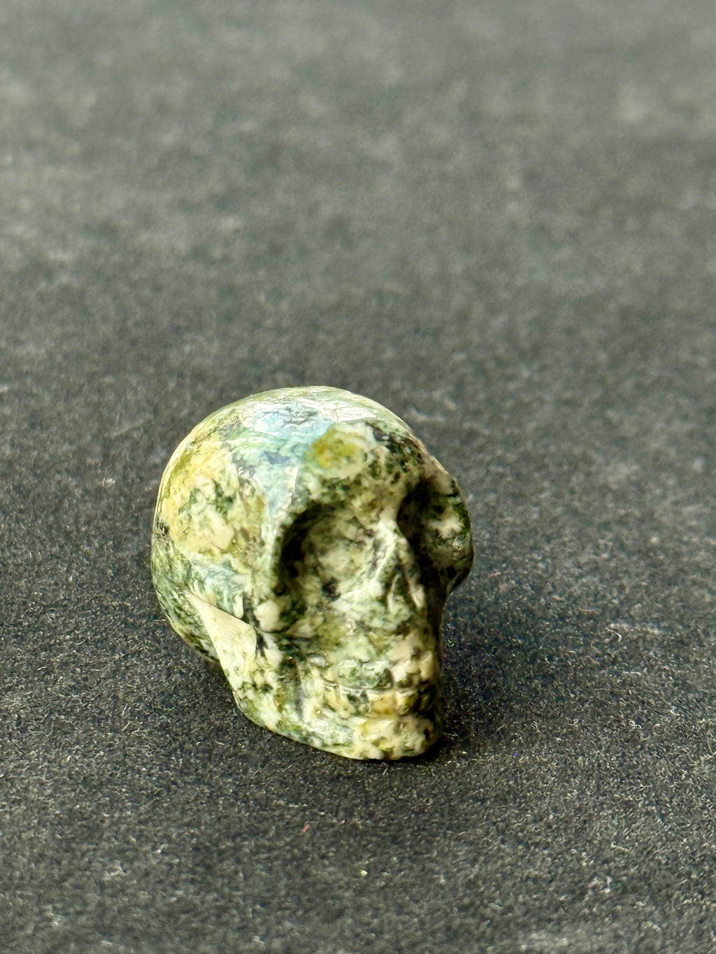 Preseli Bluestone skull