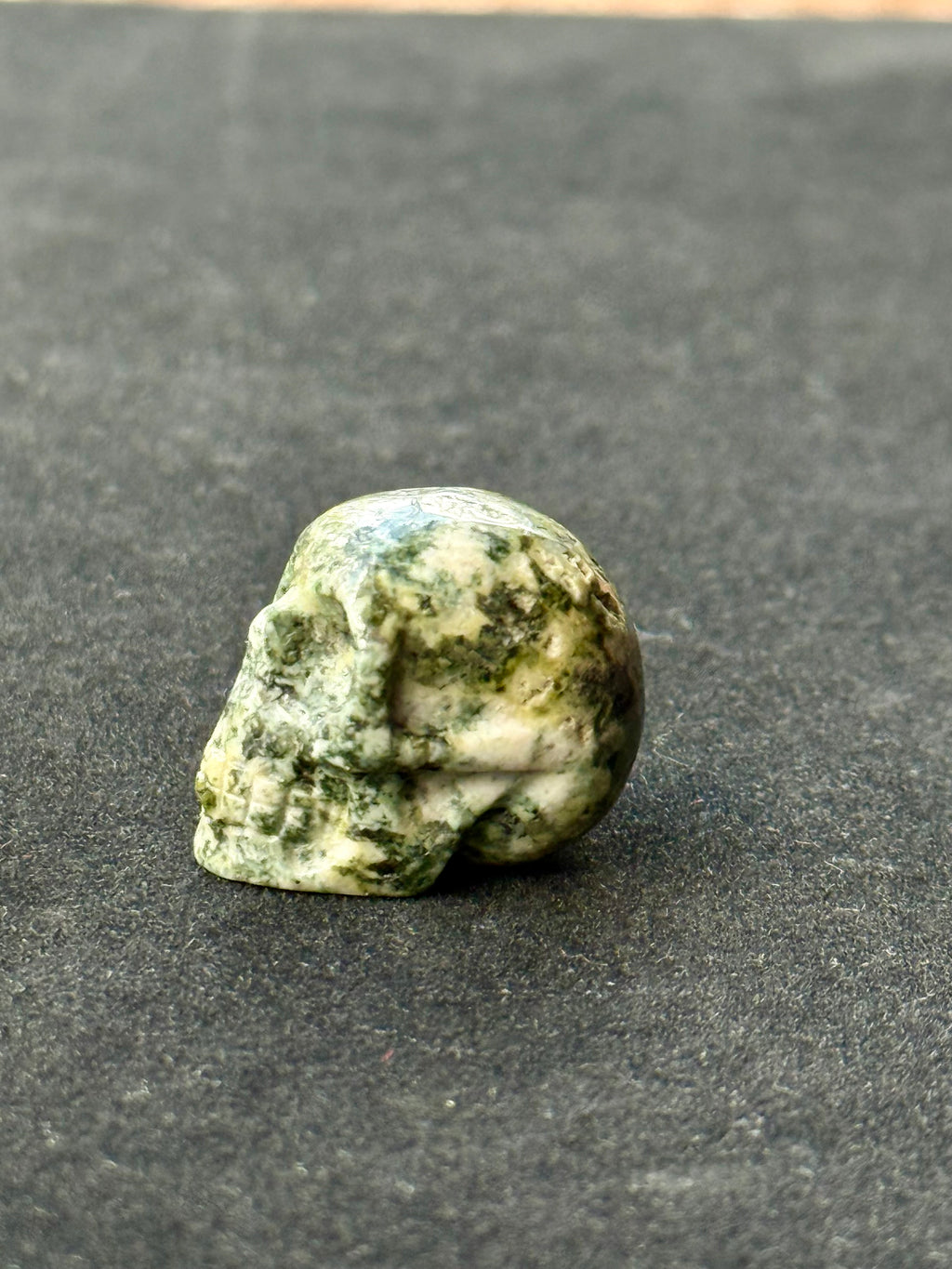 Preseli Bluestone skull