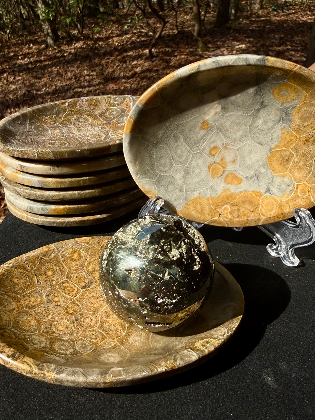 Fossilized coral dish