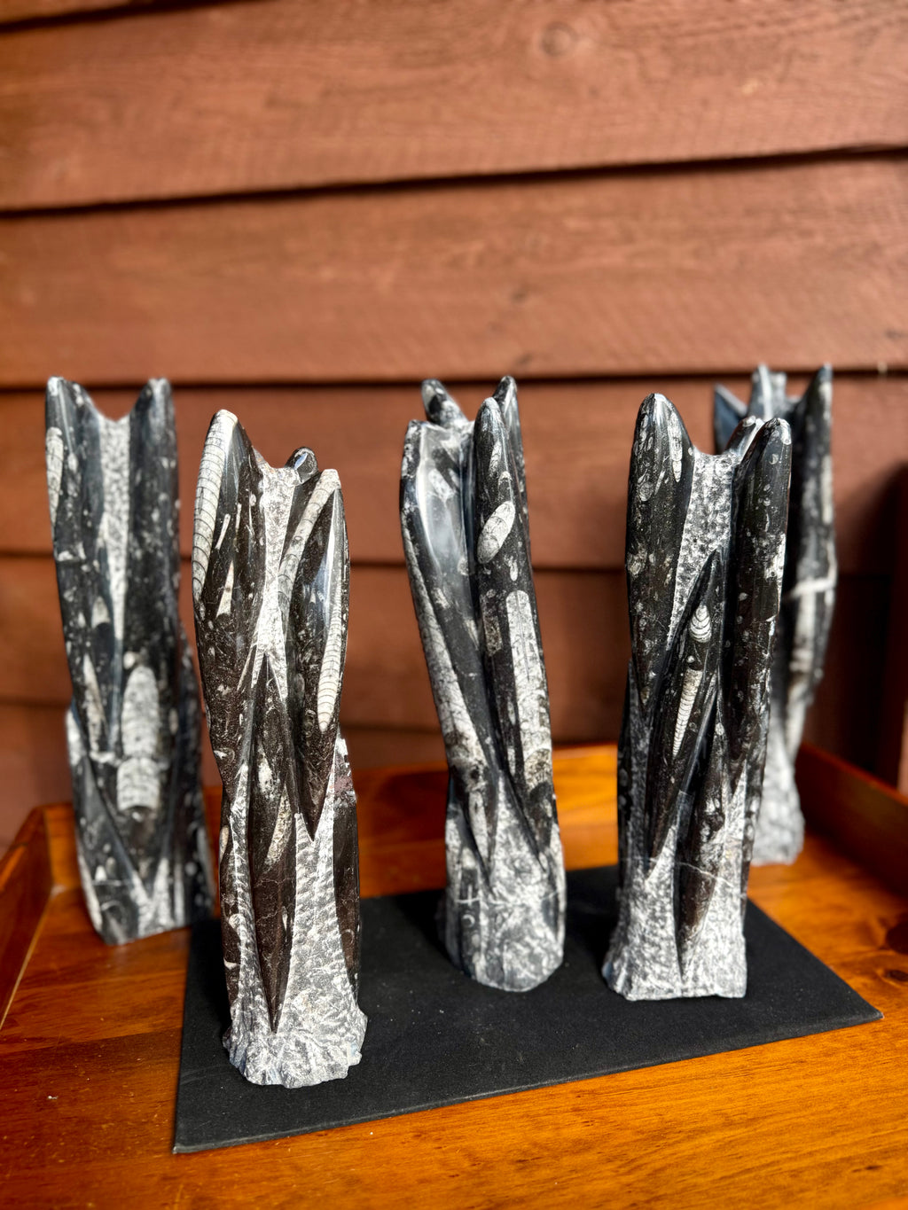 Orthoceras tower