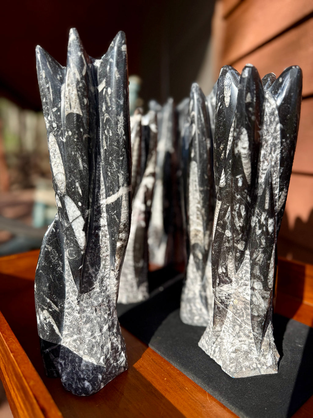 Orthoceras tower