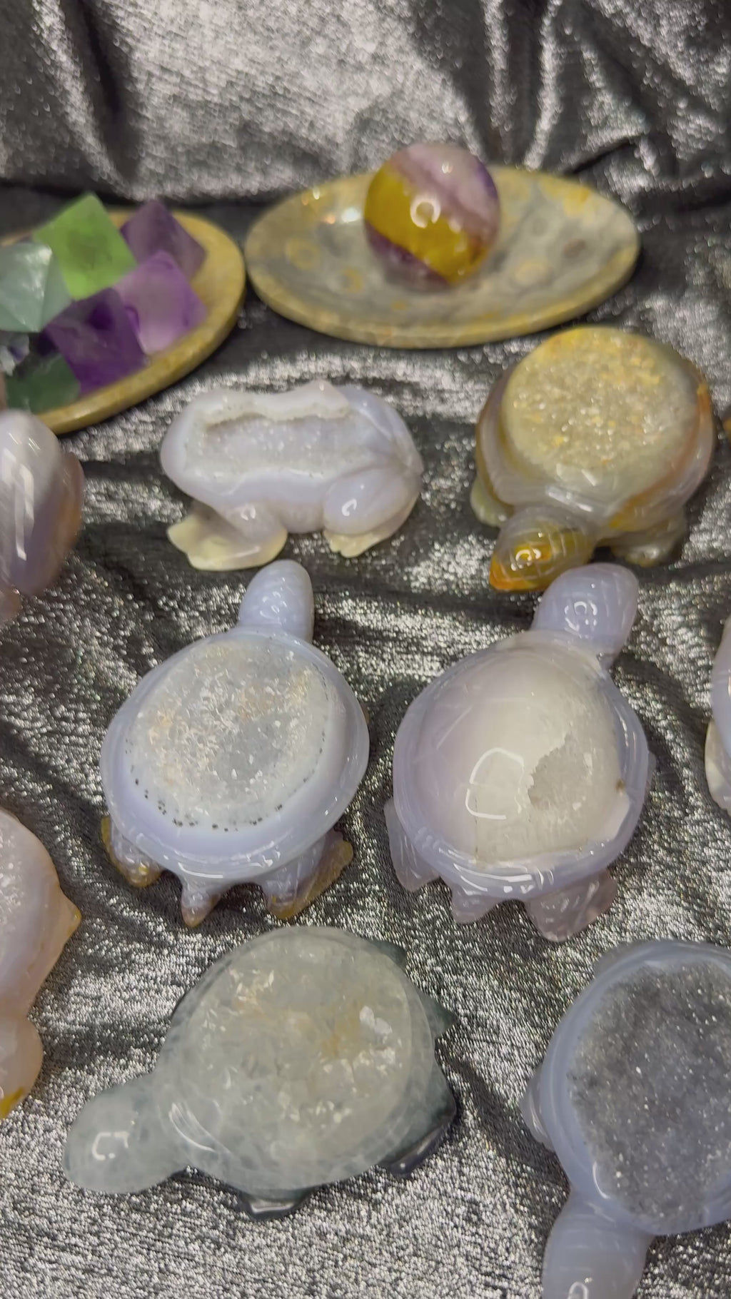 Peruvian agate turtles & frogs